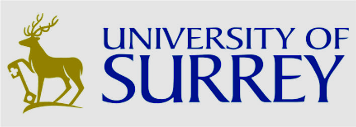 University of Surrey, London