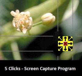5 Clicks - Screen Capture Program