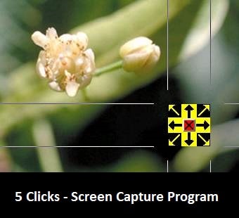 5 Clicks - Screen Capture Program